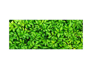 Tempered Glass magnetic and non magnetic splashback in wide-format: Green leaves wall
