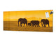 Tempered Glass magnetic and non magnetic splashback in wide-format: Elephants in Amboseli national park, Kenya