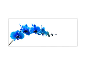 Tempered Glass magnetic and non magnetic splashback in wide-format: Blue orchid on white