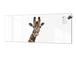 Glass backsplash w/ and w/o metal sheet backing with magnetic properties: Giraffe portrait