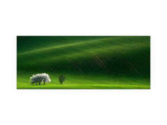 Glass backsplash w/ and w/o metal sheet backing with magnetic properties: Rolling Spring White tree