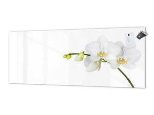 Large format horizontal backsplash - magnetic and non magnetic tempered glass: White orchid closeup