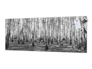 Large format horizontal backsplash - magnetic and non magnetic tempered glass: Birch forest