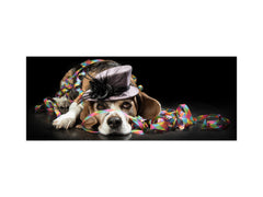 Glass splashback with metal backing in wide format - Kitchen tempered glass panel: Party Beagle