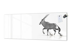 Stunning glass wall art - Wide format  backsplash with w/ & w/o stainless steel back: Black and white African life
