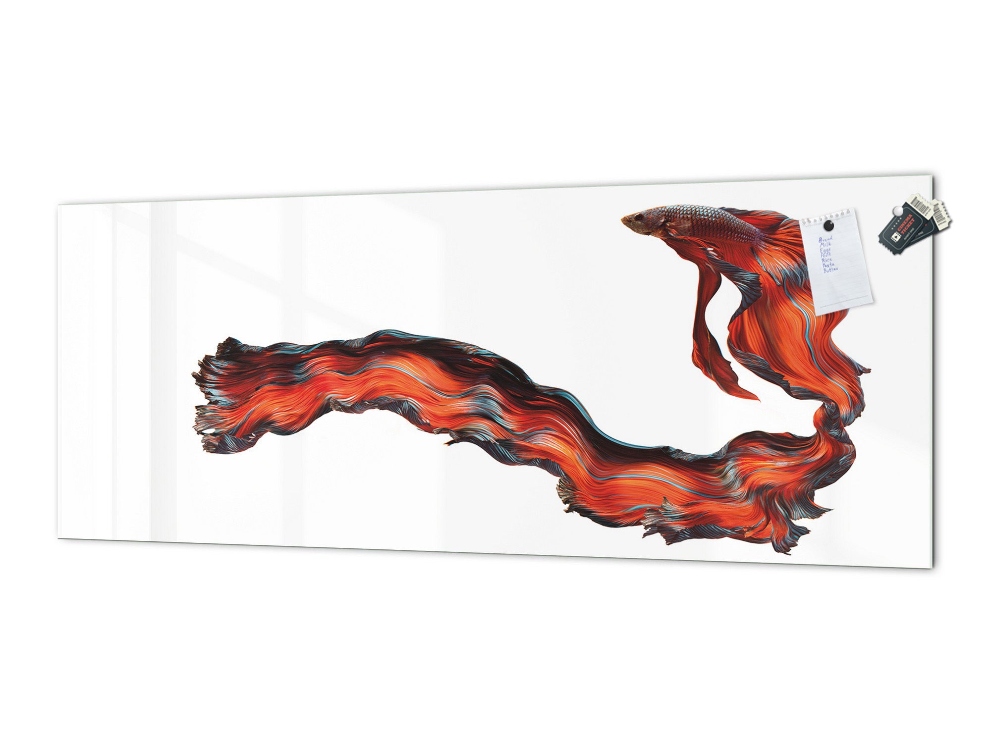 Stunning glass wall art - Wide format  backsplash with w/ & w/o stainless steel back: Half-Moon fighting fish in red
