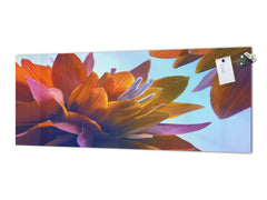 Wide-format tempered glass kitchen wall panel with metal backing - and without: Lily buds - Lotus flowers