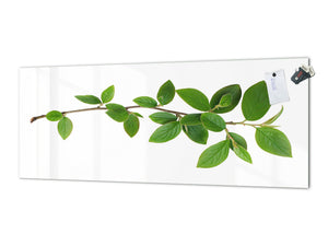 Wide format Wall panel with magnetic and non-magnetic metal sheet backing: Green tree branch