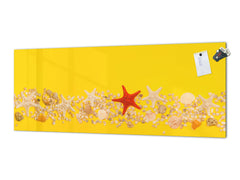 Wide format Wall panel with magnetic and non-magnetic metal sheet backing: Seashells and starfish