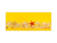 Wide format Wall panel with magnetic and non-magnetic metal sheet backing: Seashells and starfish