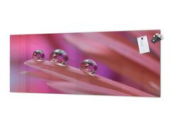 Wide format Wall panel with magnetic and non-magnetic metal sheet backing: Macro photo with water drops