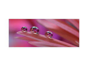 Wide format Wall panel with magnetic and non-magnetic metal sheet backing: Macro photo with water drops