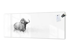 Wide format Wall panel with magnetic and non-magnetic metal sheet backing: Black and white antelope