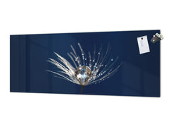 Toughened printed glass backsplash - Wide format steel coated wall glass backsplash: Dandelion seed with water drops closeup