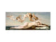 Tempered Glass magnetic and non magnetic splash-back in wide-format: THE BIRTH OF VENUS by Alexandre Cabanel