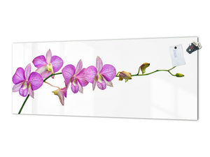 Tempered Glass magnetic and non magnetic splash-back in wide-format: Phalaenopsis dendrobium Orchid