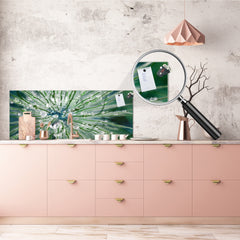 Tempered Glass magnetic and non magnetic splash-back in wide-format: Macro shot of flower head in morning dew