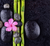 Pantalla anti-salpicaduras cocina – Frente de cocina de cristal templado – BS02 Serie Piedras: Flor de bambu 1