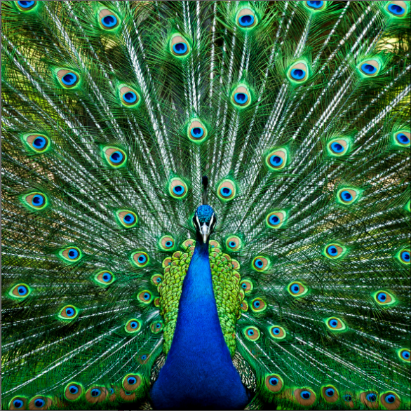 Special order: Key lock Box storage holder with Decorative front glass panel: own design